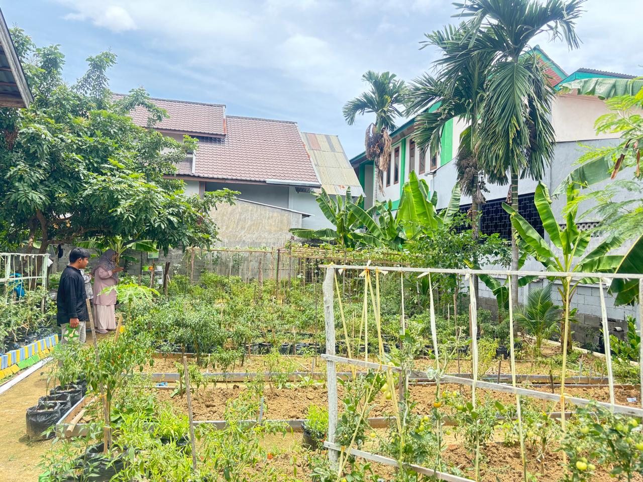 taman-gizi-aje-pagar-air-ketahanan-pangan